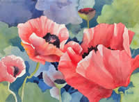 Poppies by Nancy Howell